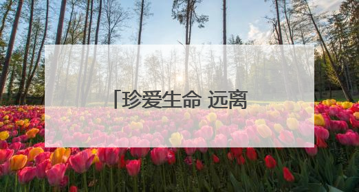 珍爱生命 远离毒蘑菇｜知识窗