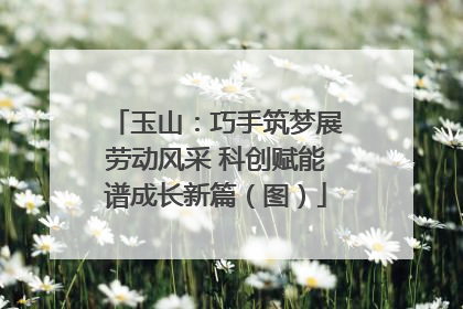 玉山：巧手筑梦展劳动风采 科创赋能谱成长新篇（图）