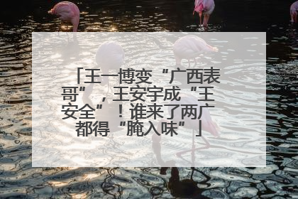 王一博变“广西表哥”，王安宇成“王安全”！谁来了两广都得“腌入味”