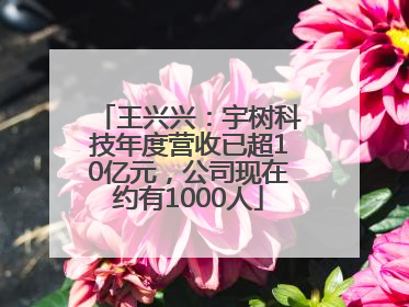 王兴兴：宇树科技年度营收已超10亿元，公司现在约有1000人