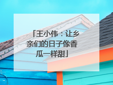 王小伟：让乡亲们的日子像香瓜一样甜