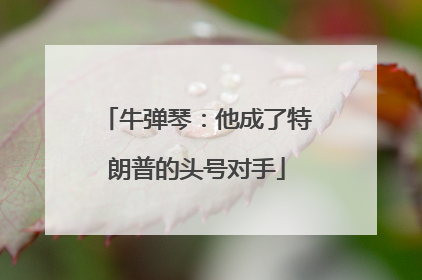 牛弹琴：他成了特朗普的头号对手