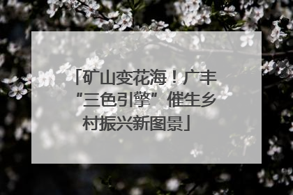 矿山变花海！广丰“三色引擎”催生乡村振兴新图景