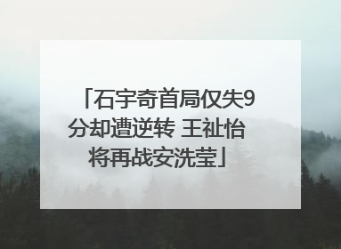 石宇奇首局仅失9分却遭逆转 王祉怡将再战安洗莹