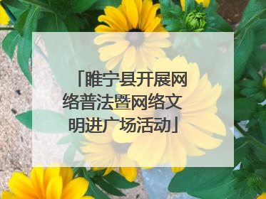 睢宁县开展网络普法暨网络文明进广场活动