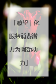 瞭望｜化服务消费潜力为强劲动力