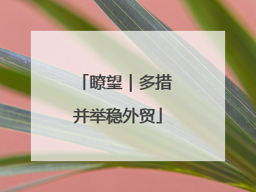 瞭望｜多措并举稳外贸