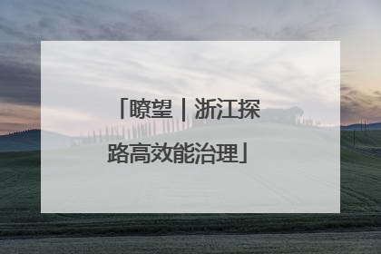 瞭望｜浙江探路高效能治理