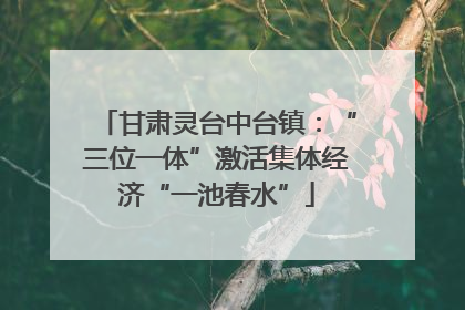 甘肃灵台中台镇：“三位一体”激活集体经济“一池春水”