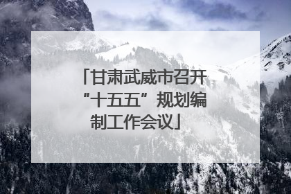 甘肃武威市召开“十五五”规划编制工作会议