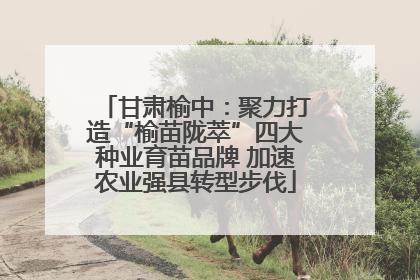 甘肃榆中：聚力打造“榆苗陇萃”四大种业育苗品牌 加速农业强县转型步伐