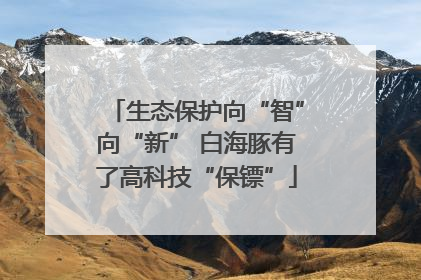生态保护向“智”向“新” 白海豚有了高科技“保镖”