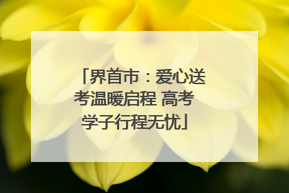 界首市：爱心送考温暖启程 高考学子行程无忧
