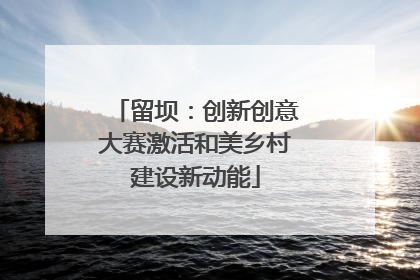 留坝：创新创意大赛激活和美乡村建设新动能