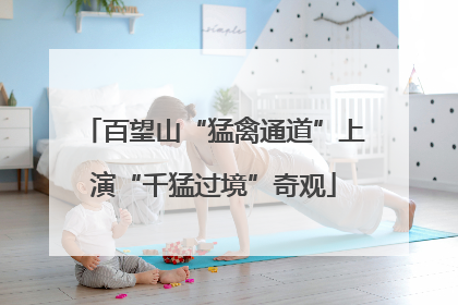 百望山“猛禽通道”上演“千猛过境”奇观