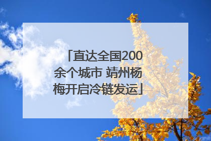直达全国200余个城市 靖州杨梅开启冷链发运