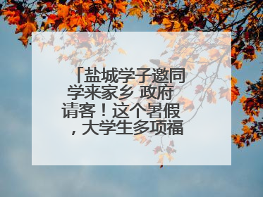 盐城学子邀同学来家乡 政府请客！这个暑假，大学生多项福利免费游盐城