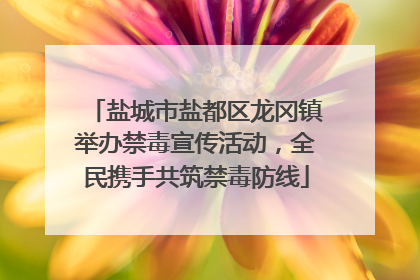 盐城市盐都区龙冈镇举办禁毒宣传活动，全民携手共筑禁毒防线