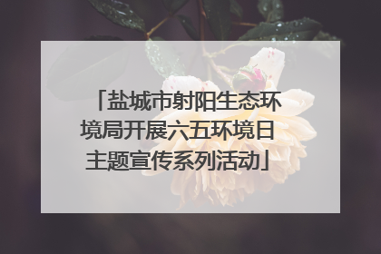 盐城市射阳生态环境局开展六五环境日主题宣传系列活动