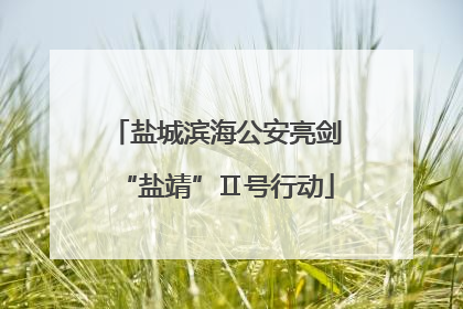 盐城滨海公安亮剑“盐靖”Ⅱ号行动