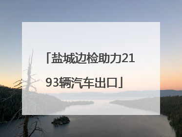 盐城边检助力2193辆汽车出口