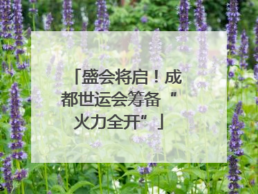 盛会将启！成都世运会筹备“火力全开”
