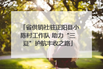 省供销社驻正阳县小陈村工作队 助力“三夏”护航丰收之路