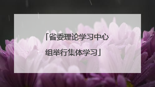 省委理论学习中心组举行集体学习