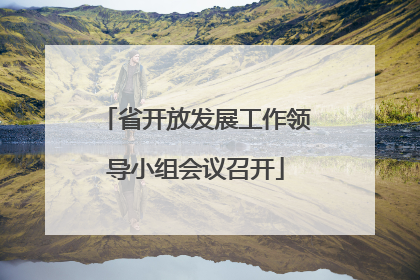 省开放发展工作领导小组会议召开