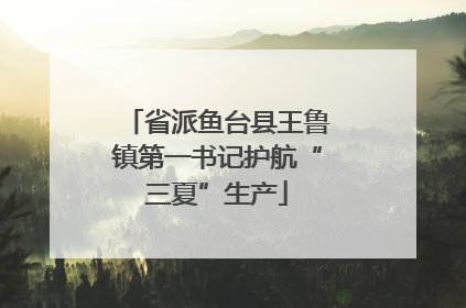 省派鱼台县王鲁镇第一书记护航“三夏”生产