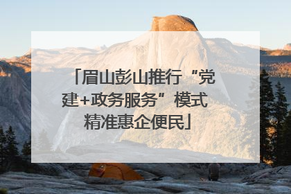 眉山彭山推行“党建+政务服务”模式 精准惠企便民