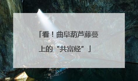 看！曲阜葫芦藤蔓上的“共富经”
