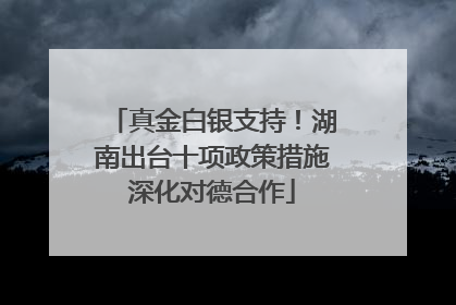 真金白银支持！湖南出台十项政策措施深化对德合作