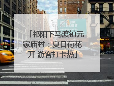 祁阳下马渡镇元家庙村：夏日荷花开 游客打卡热