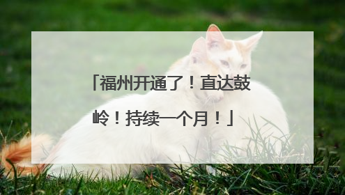 福州开通了！直达鼓岭！持续一个月！