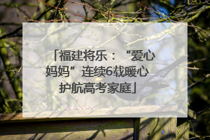 福建将乐：“爱心妈妈”连续6载暖心护航高考家庭
