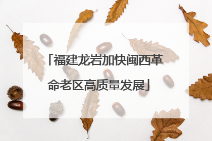 福建龙岩加快闽西革命老区高质量发展