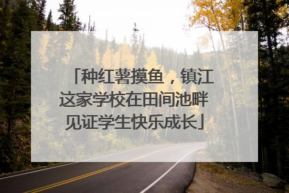 种红薯摸鱼，镇江这家学校在田间池畔见证学生快乐成长