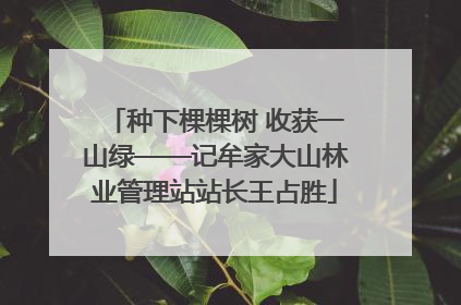 种下棵棵树 收获一山绿——记牟家大山林业管理站站长王占胜
