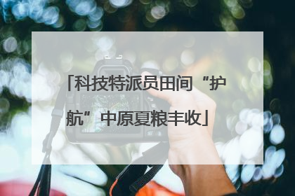 科技特派员田间“护航”中原夏粮丰收