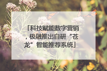 科技赋能数字营销，极融推出自研“苍龙”智能推荐系统