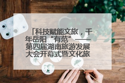 科技赋能文旅，千年岳阳“有范”——第四届湖南旅游发展大会开幕式暨文化旅游推介会侧记