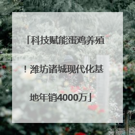 科技赋能蛋鸡养殖！潍坊诸城现代化基地年销4000万