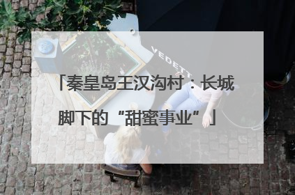 秦皇岛王汉沟村：长城脚下的“甜蜜事业”