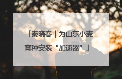 秦晓春｜为山东小麦育种安装“加速器”