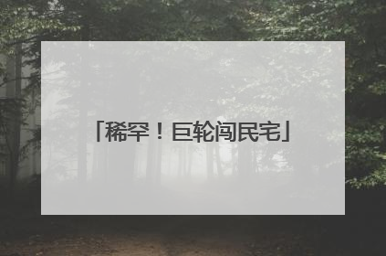 稀罕！巨轮闯民宅