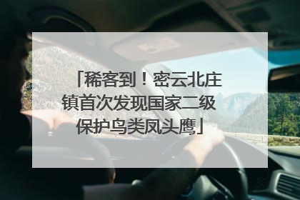 稀客到！密云北庄镇首次发现国家二级保护鸟类凤头鹰