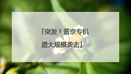 突发！普京专机遭大规模袭击