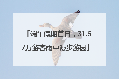 端午假期首日，31.67万游客雨中漫步游园
