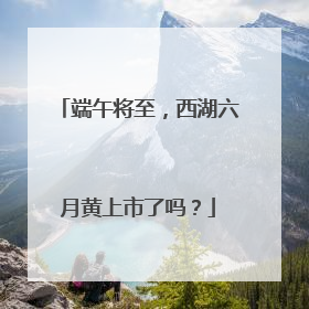 端午将至，西湖六月黄上市了吗？